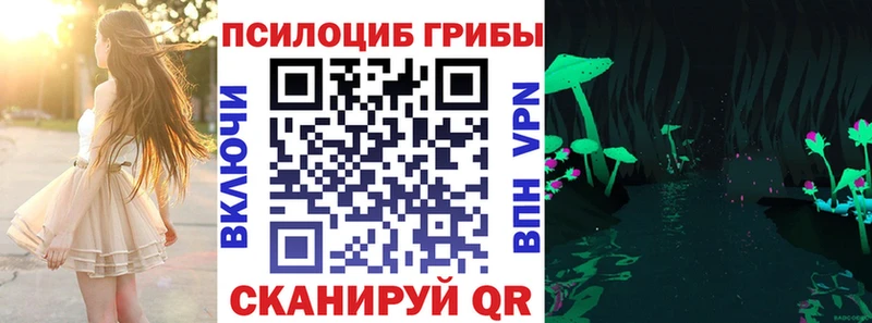 закладки  Нарткала  darknet Telegram  Псилоцибиновые грибы Cubensis 