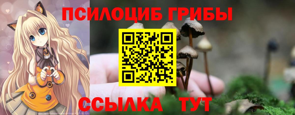 Галлюциногенные грибы Cubensis  Вход с VPN  Нарткала  Псилоцибиновые грибы Cubensis 